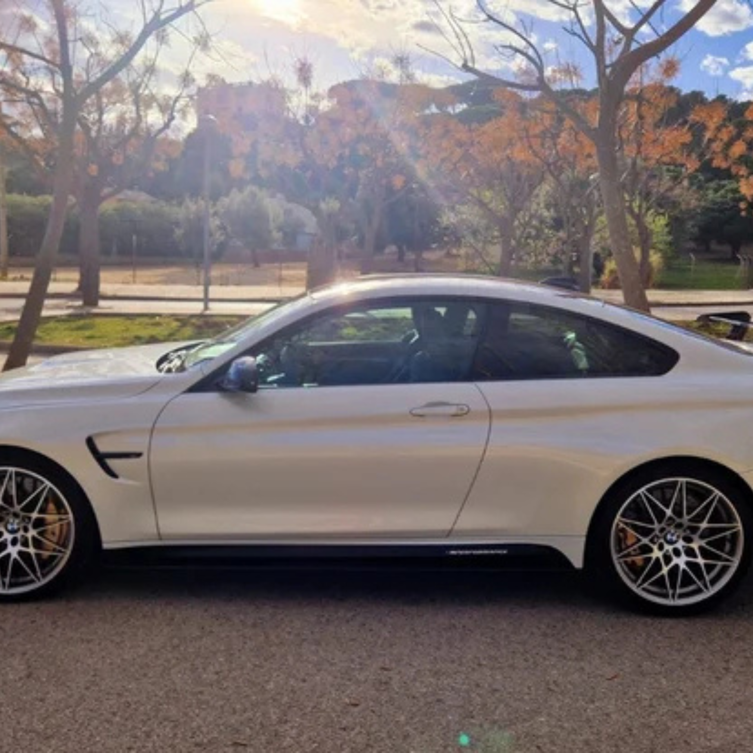 BMW M4 Cs 41 de 60 uds - Imagen 6